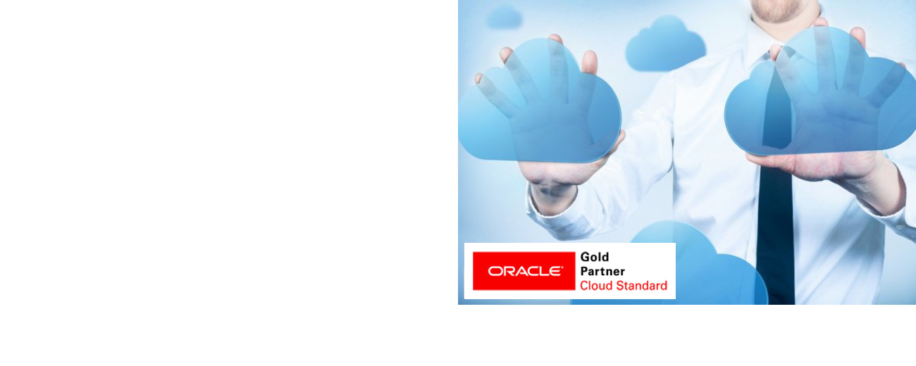 Oracle Cloud Implementation Services